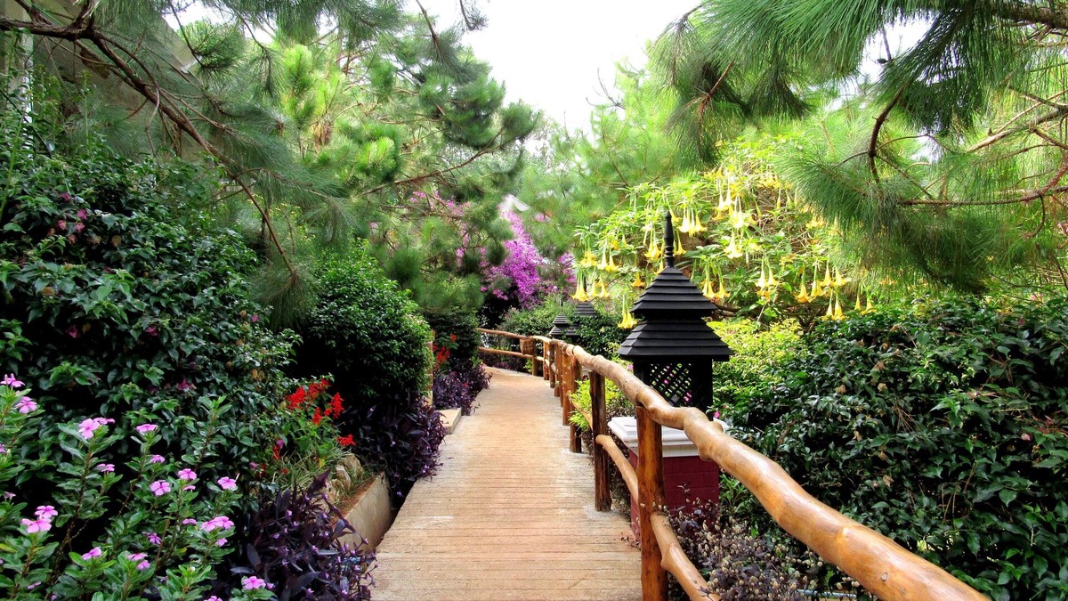 Kalaw Hotel | Royal Kalaw Hills Resort