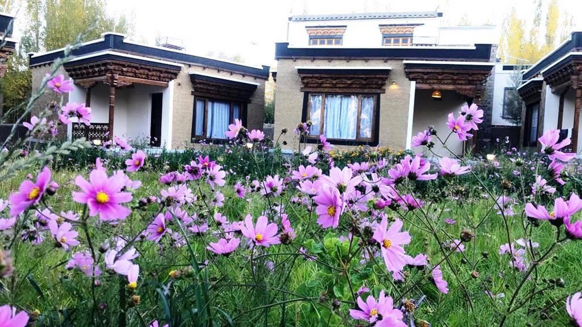 She Hotel | Royal Soma Resort