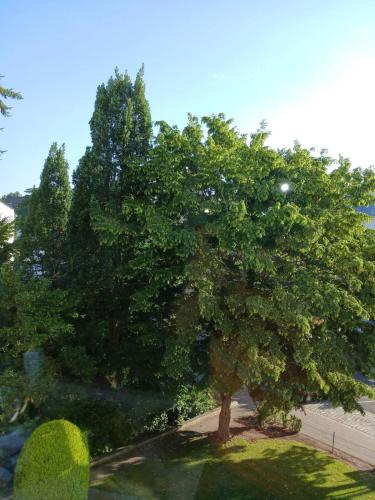 Mitte Apartment | Ruhiges Appartment am Stadtpark