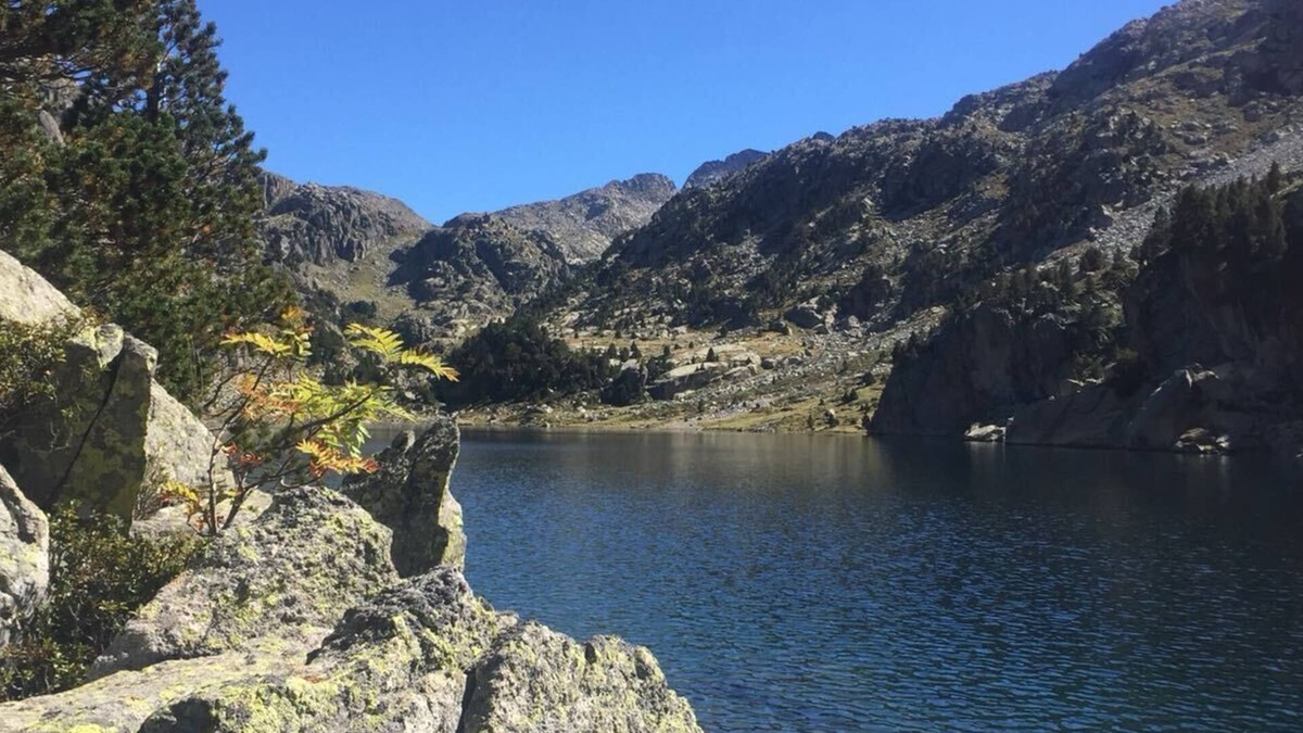 Boi Cottage | Rural apartment Ca de Martí for 4 people