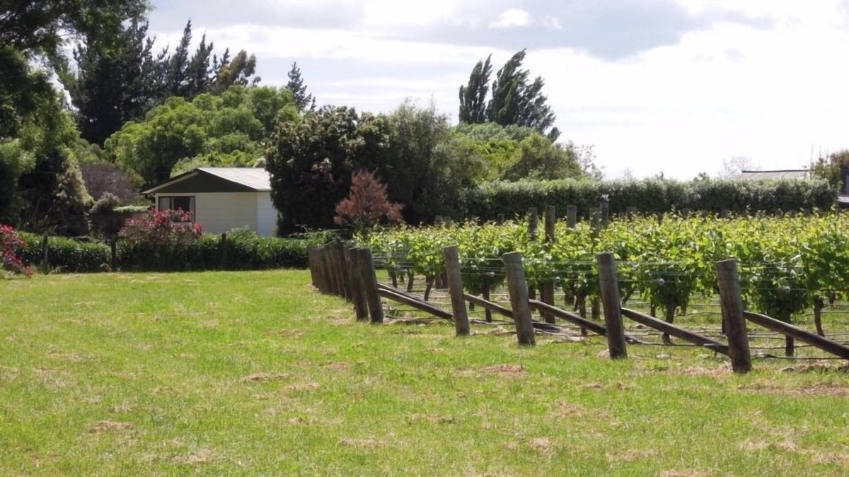 Seddon Cottage | Rural Little Oasis Vineyard, Seddon near Blenheim, wine tasting