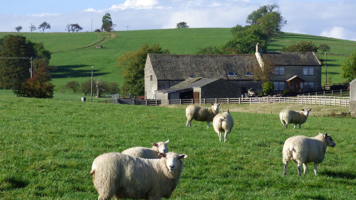 Skipton House | Rural Seclusion with panoramic countryside views, dog friendly, free WiFi.