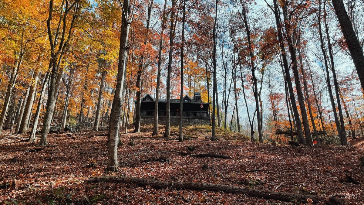 Dahlonega Cabin | Rustic Appalachian cabin, 6+ acres, creek, 5 min from Dahlonega & wineries