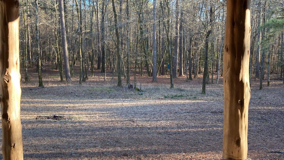Amity Cabin | Rustic Cabin on 60 acres of wooded land.