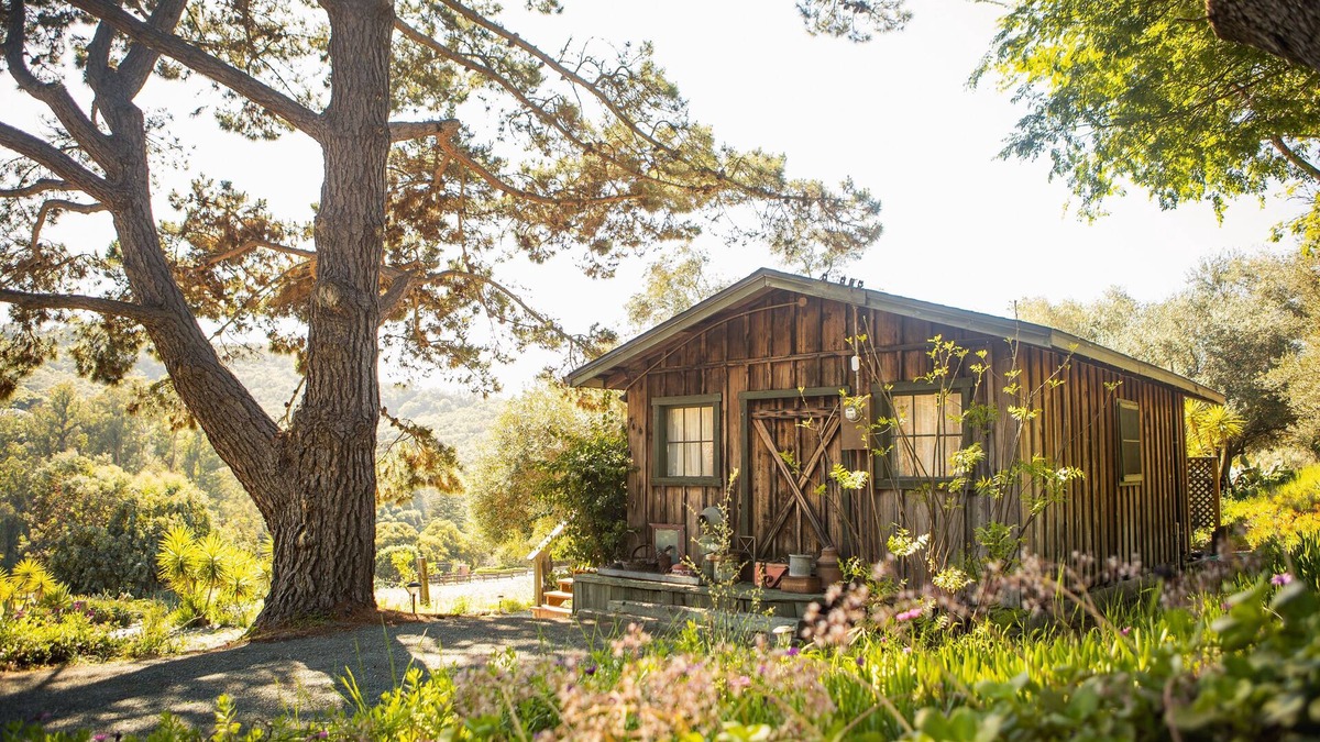 Arroyo Grande Cabin | Rustic Charm in the Quiet Countryside: Olive Tree Cabin