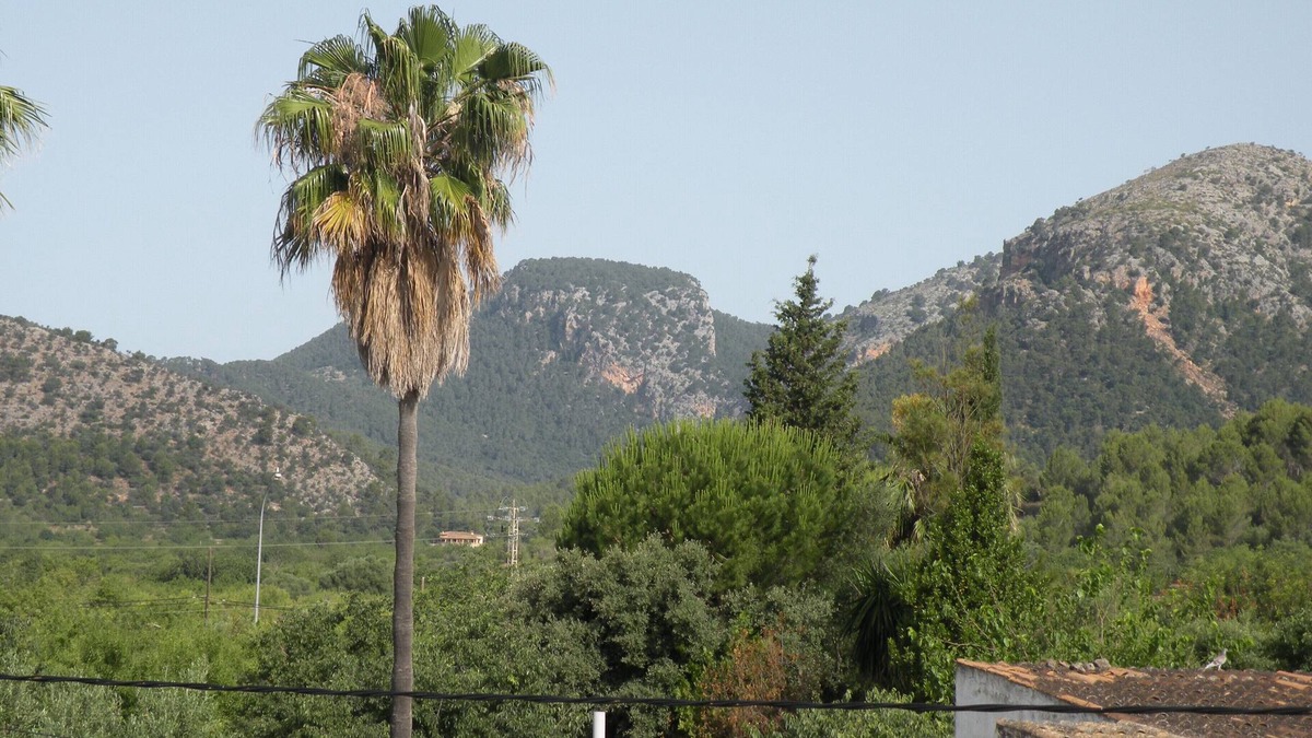 La Esglayeta Cottage | Rustic country house, surrounded by almond trees, quiet area.