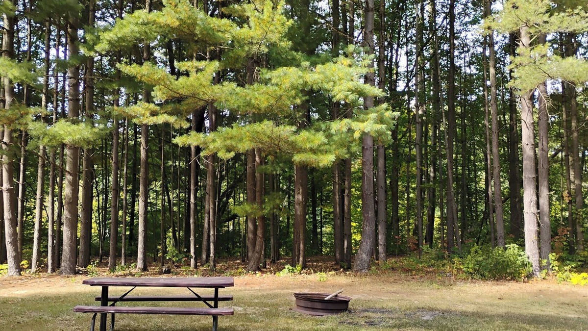 Frontier Resort | Rustic Cowboy Town resort bring your own tent and start relaxing or exploring