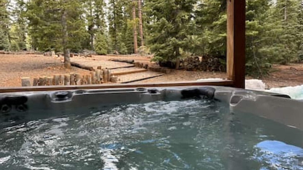 Meadow View Heights Cottage | Rustic Forest Retreat