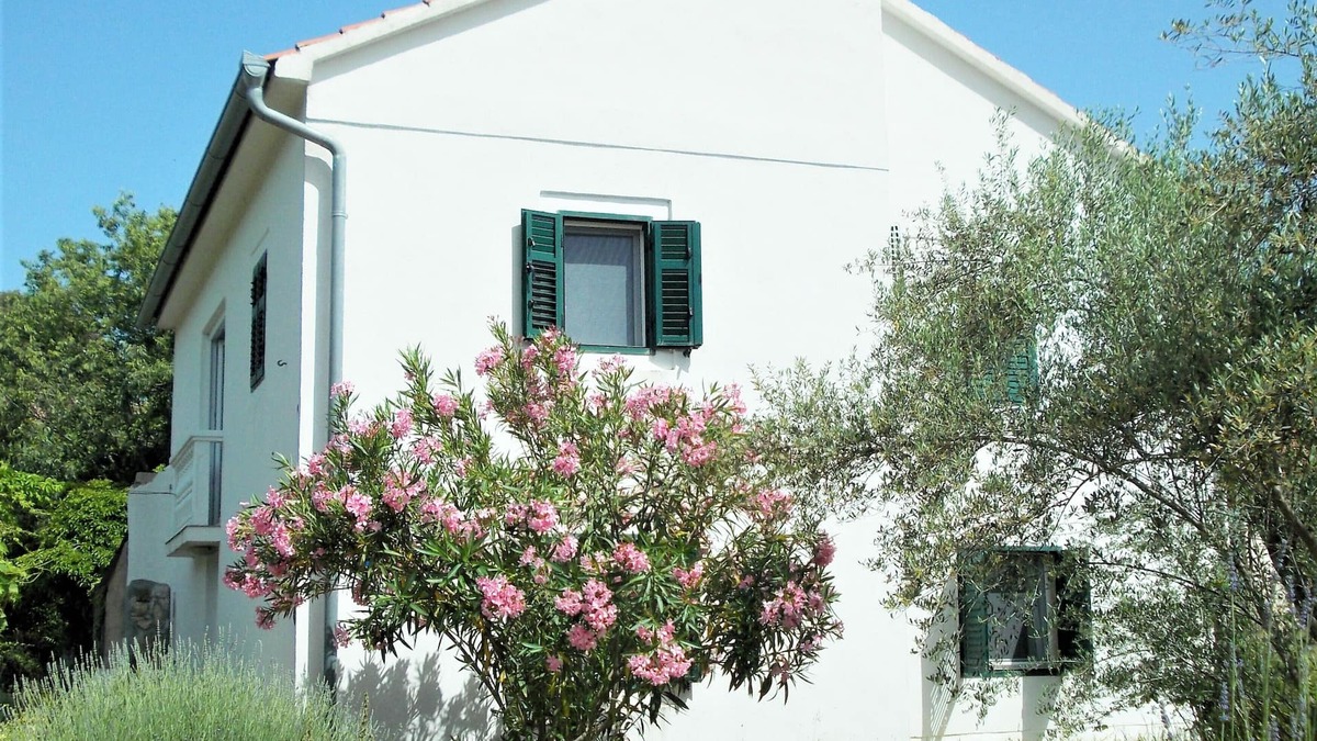 Preko House | Rustic House Miketa -family- friendly holiday home for nature lovers!