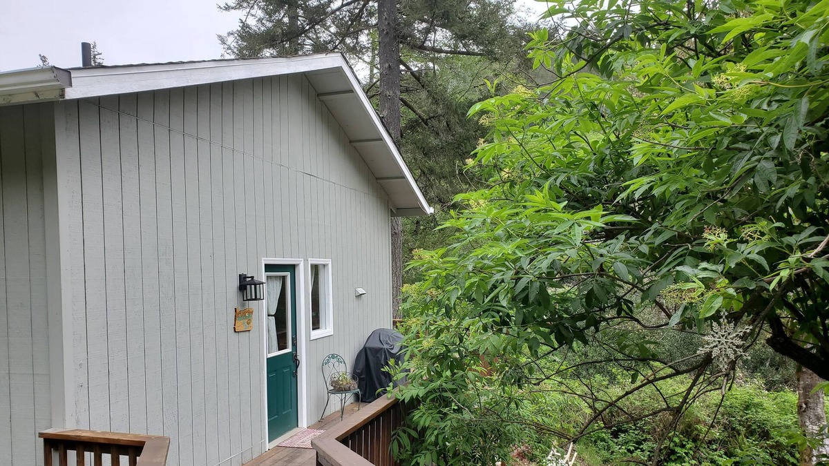 Brookings Cabin | Rustic Lodge - Tree House Cabin in the Mountains of Brookings