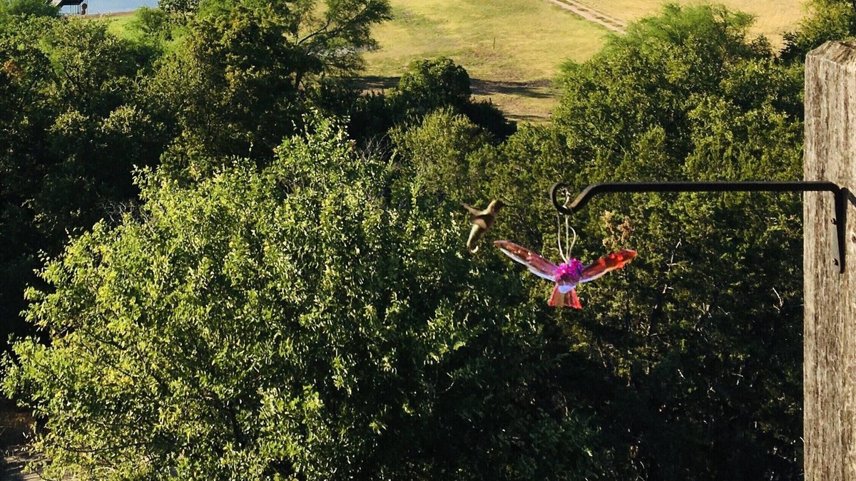 Oatmeal House | RV GLAMPING DIRECTLY ON LAKE TRAVIS- NEAR HIDDEN FALLS ADV. PARK (2021 RV)