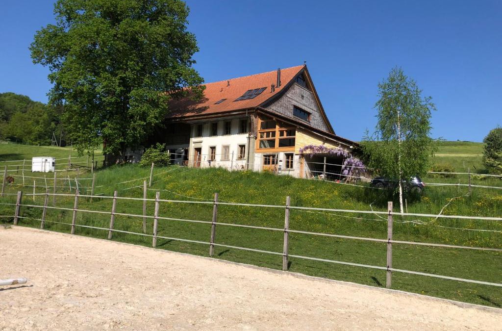 Mezieres House | Sérénité et nature dans une ferme équestre - studio familial