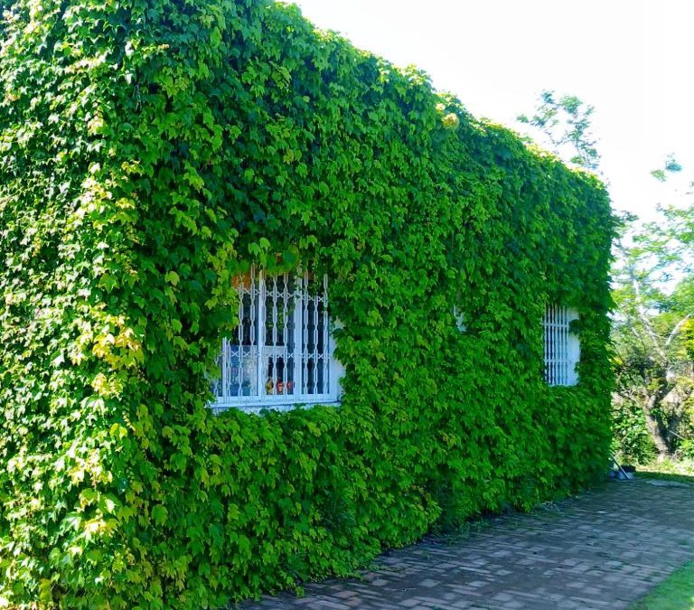Sapiranga House | Sítio Sapiranga
