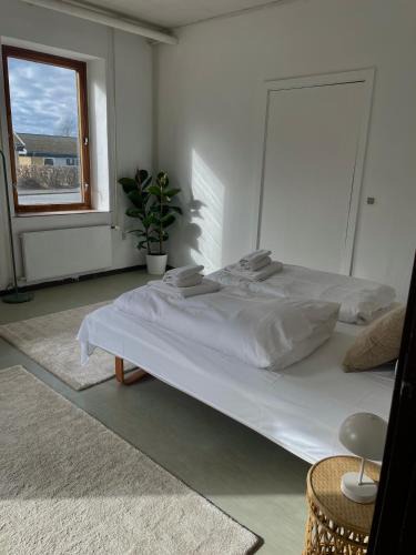 Lohals Apartment | Søndergade 23 i Lohals