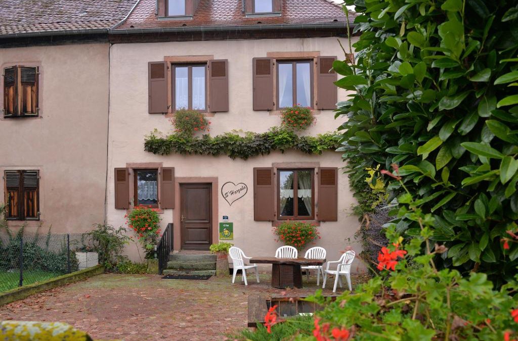Bergheim Apartment | S'Harzala Rouge