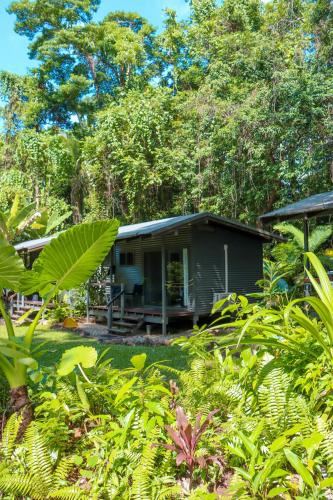 Cape Tribulation Cabin | Safari Lodge