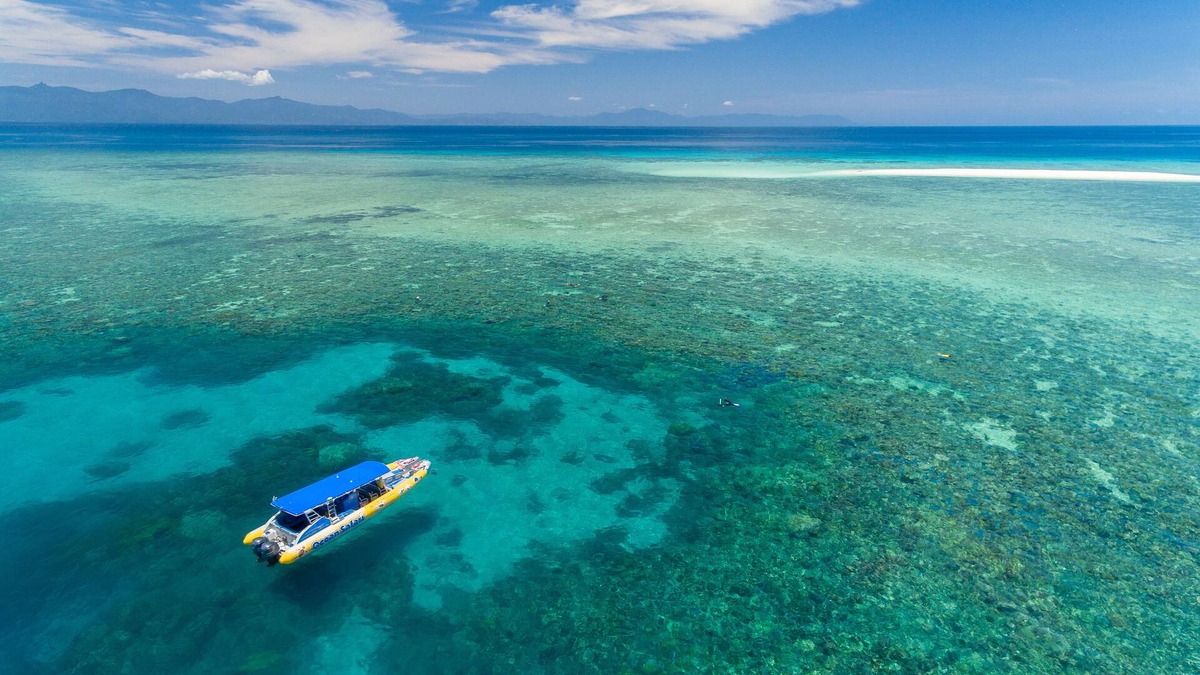 Cape Tribulation Cabin | Safari Lodge