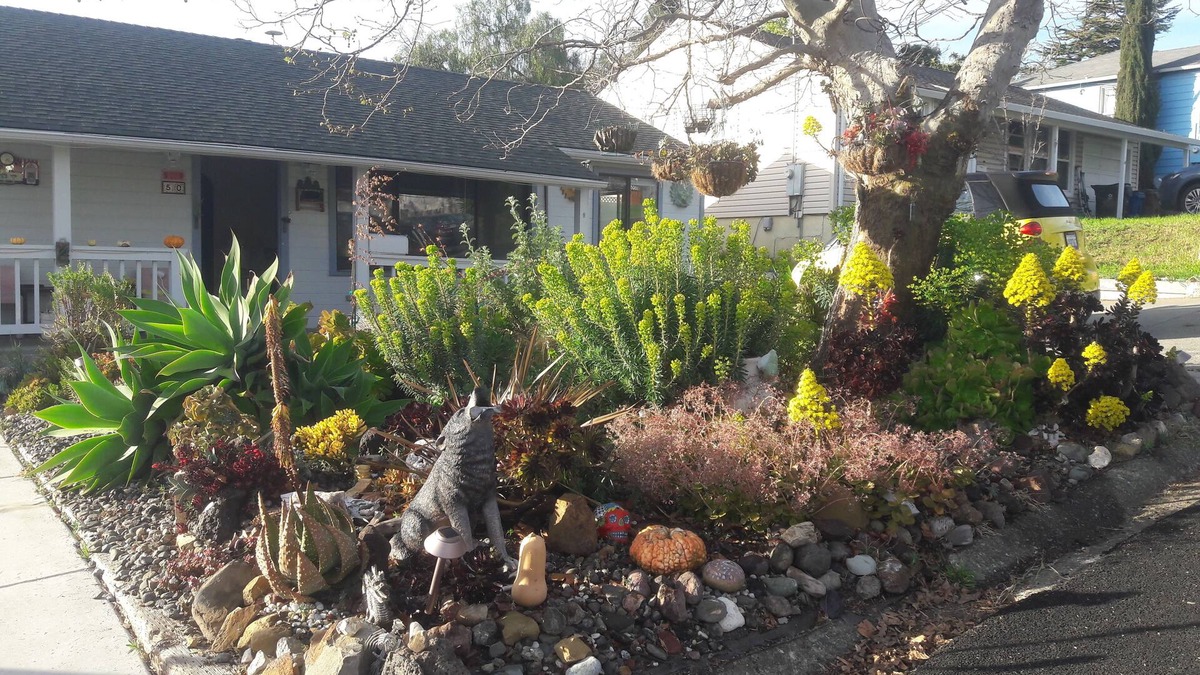 Benicia House | Safe, Cozy, Clean, Quiet, Home in Family-Friendly Residential Neighborhood.