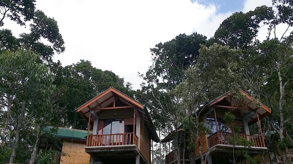 Ella Bed & Breakfast | Saffron Eco Cottage