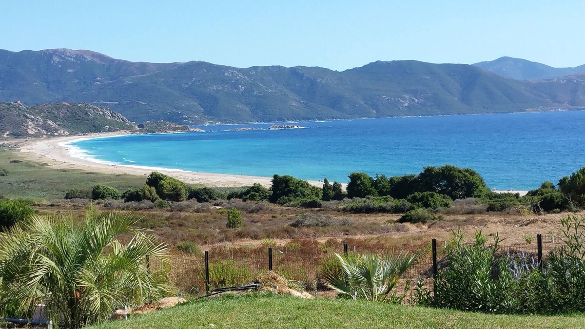 Sagone Apartment | SAGONE, Ground floor, recent studio 55 m2 - heated swimming pool, beaches 350 m