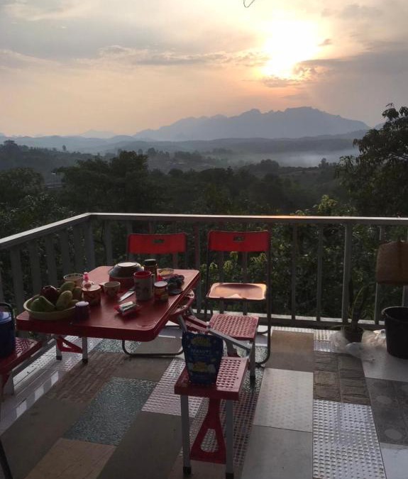 Mueang Ngai House | Saithonghouse the garden