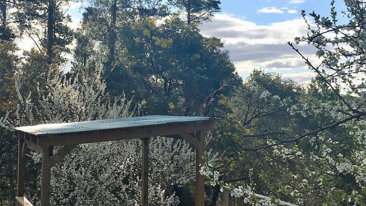 Daylesford House | Salt Spring Art Retreat;