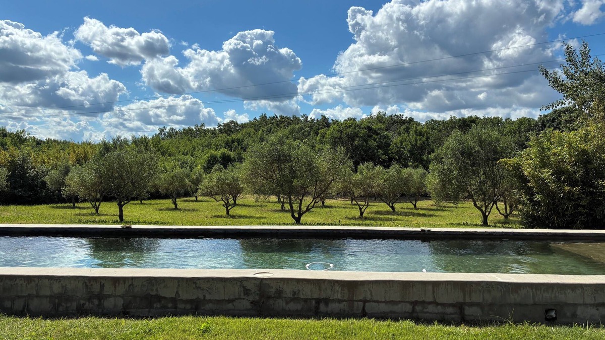 Theziers House | Saltwater swimming pool14m charming mas standing on 2 hectares of countryside