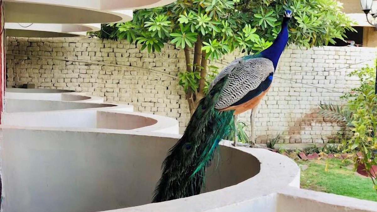 Larkana Hotel | Sambara Inn