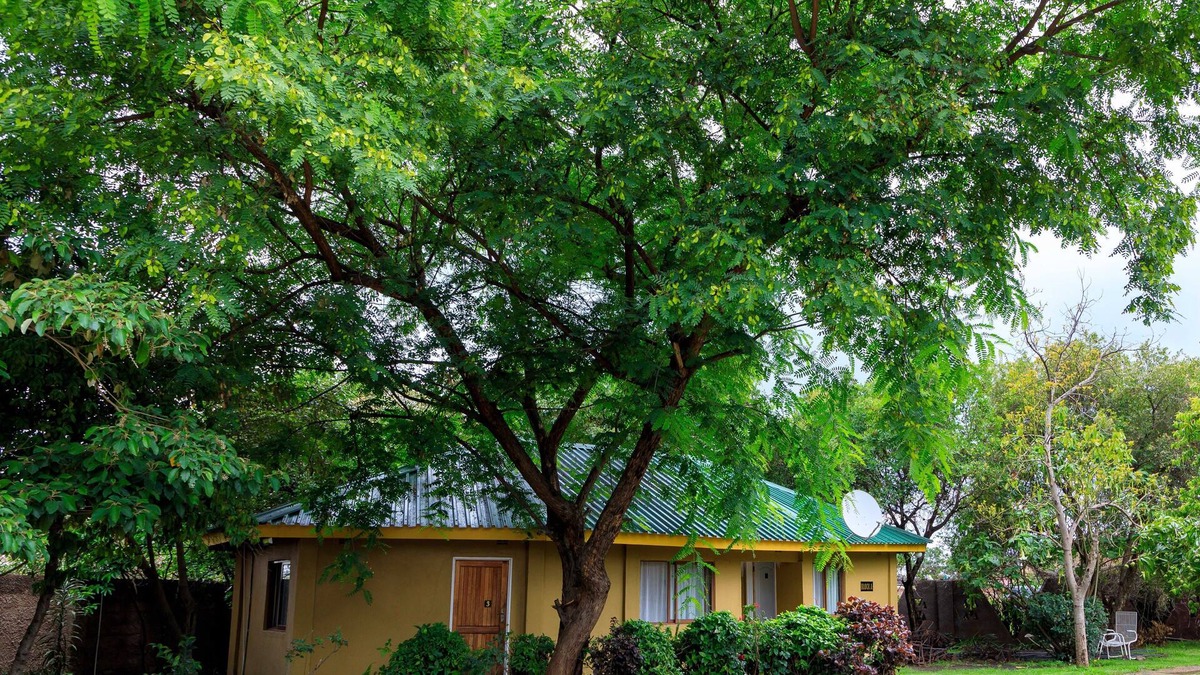 Harare House | Samukele guest house