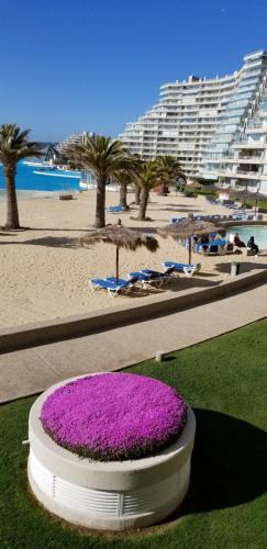 Algarrobo Apartment | San Alfonso del Mar Goleta