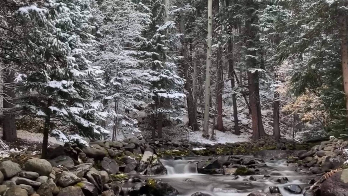 Idaho Springs House | Sanctuary Escape on River W/Hot Tub, Sauna & Piano