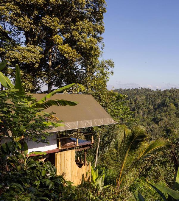 Pupuan Other | Sanda Plantation Hideaway