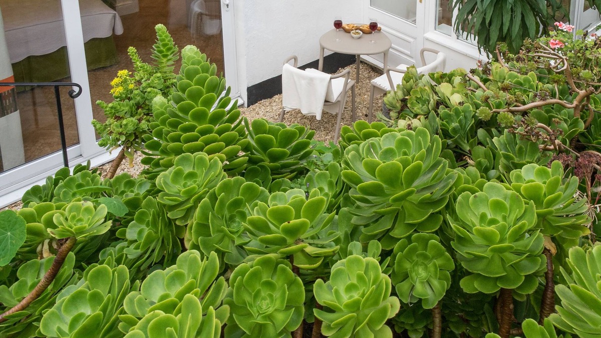 St Ives Apartment | Sands Studio & Samphire Studio