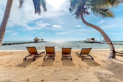San Pedro Apartment | Saponaria 21-22 at Caribe Island Gold Standard Certified