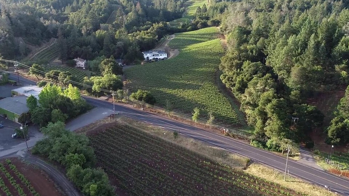 Geyserville House | Sapphire Canyon Vineyard Guest House