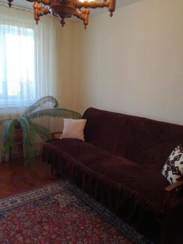 Tirgu Mures Apartment | Sara Apartman