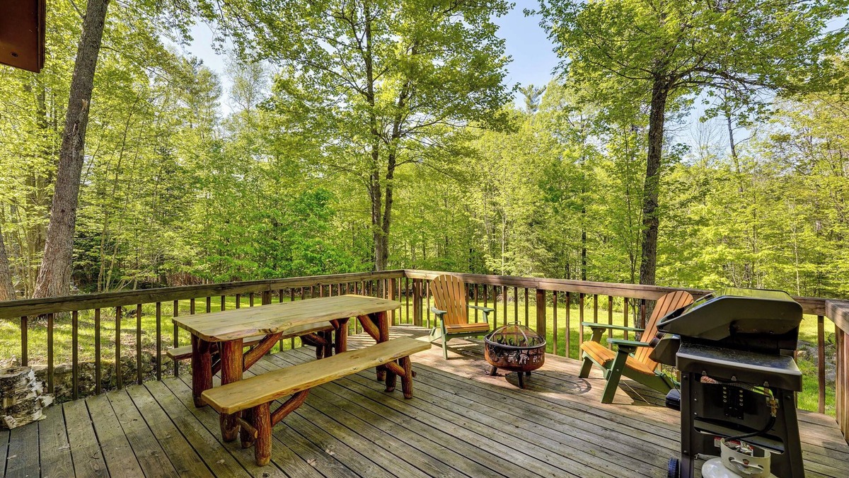 Saranac Lake Cabin | Saranac Lake Cabin w/Deck: Pets Welcome!