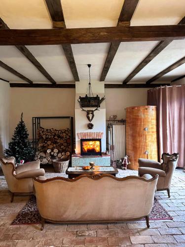Saschiz House | Saschiz 130/Lodging and Glamping