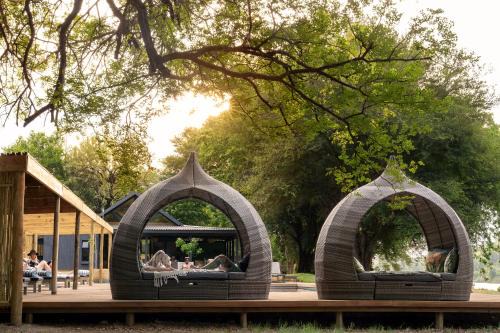 Ehlanzeni Cabin | Sashwa River of Stars Plant-Based Wellness Safari Lodge