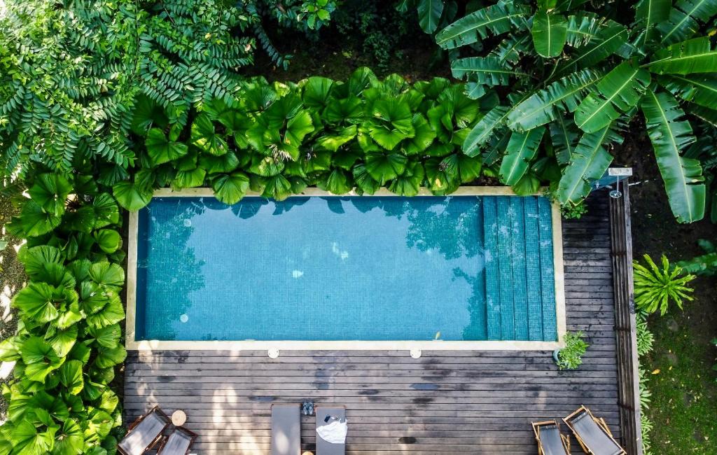 Cocles Cabin | Satta Lodge
