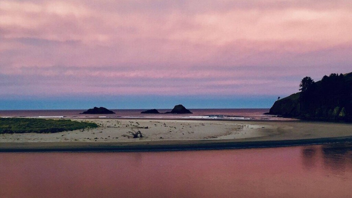 Otis Cabin | Savage Cabin- Ocean and Estuary Nature Retreat