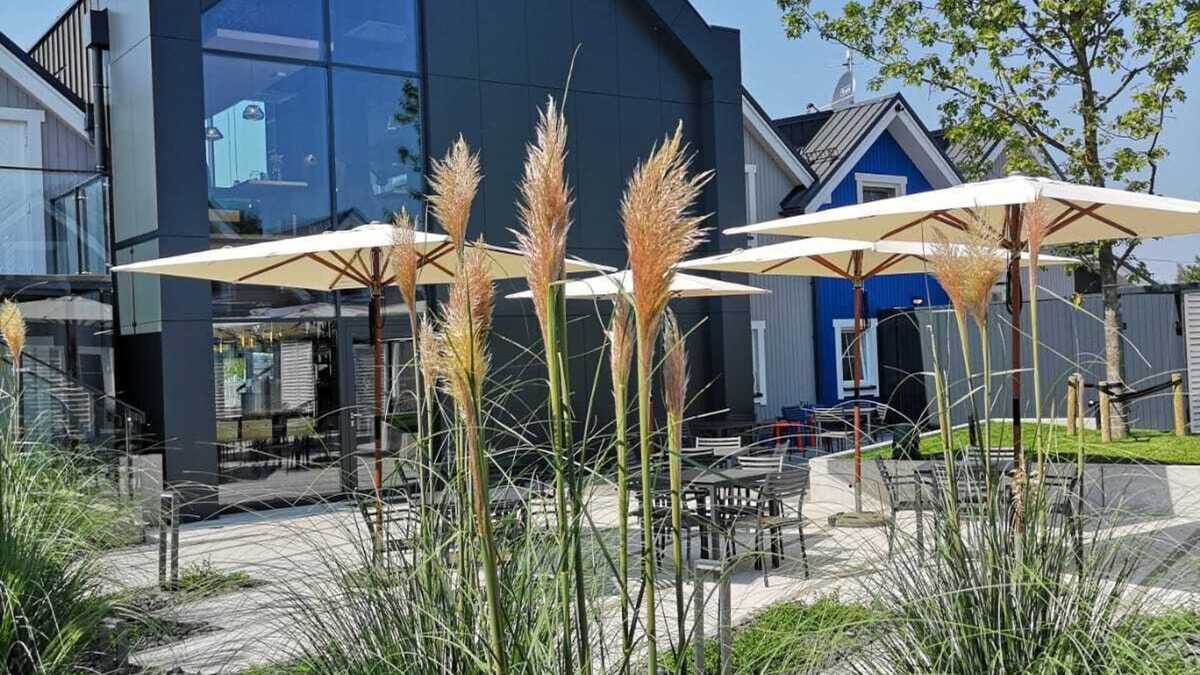 Zator Hotel | Scandinavia Resort