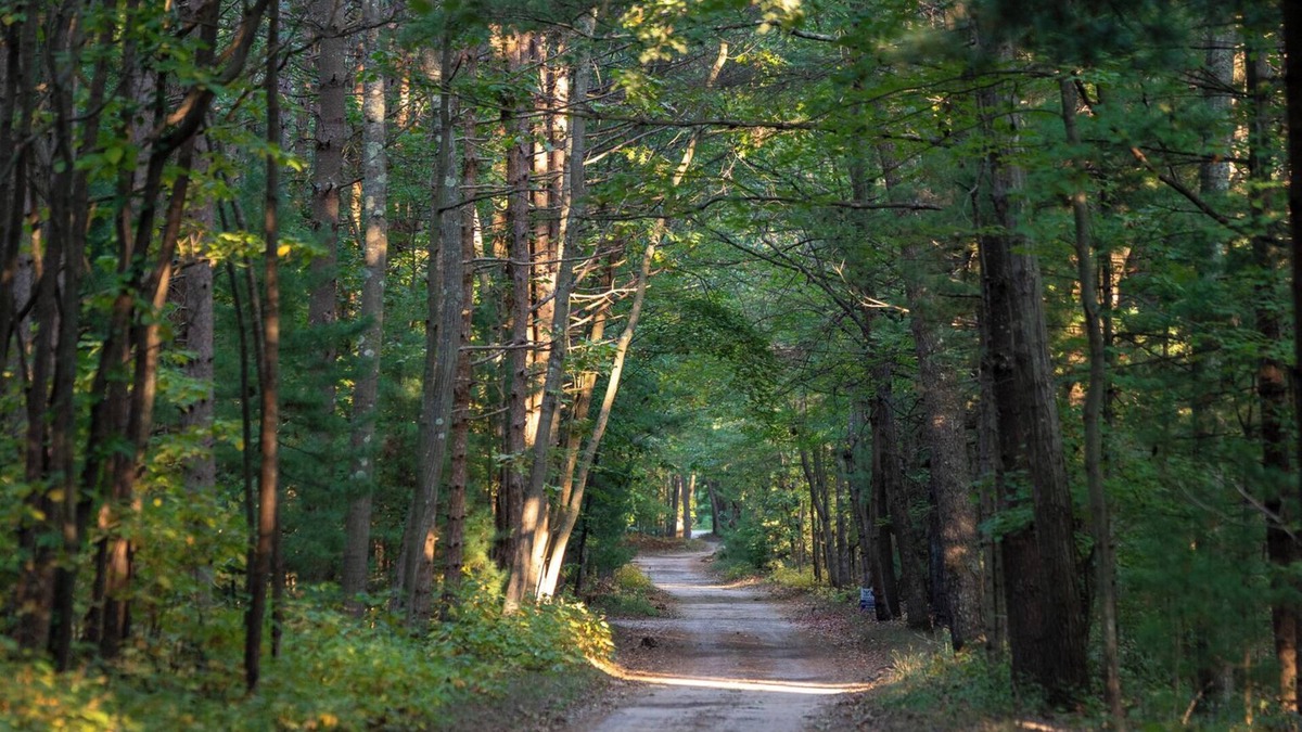 Muskegon Cabin | Scenic Drive Resort - Cabin #7