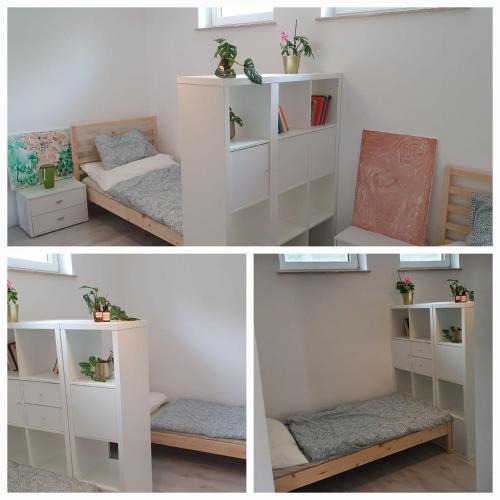 Haidershofen Apartment | Schöne 2 Zimmerwohnung mit eigenem Garten