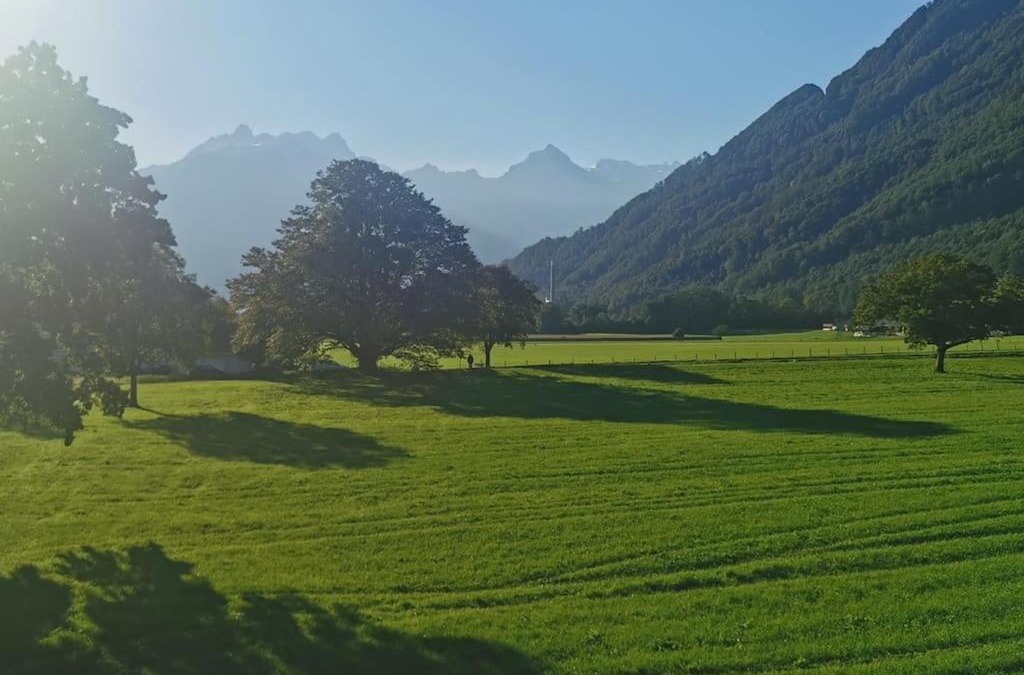Bilten Apartment | Schöne Unterkunft mit Blick in die Glarner Berge