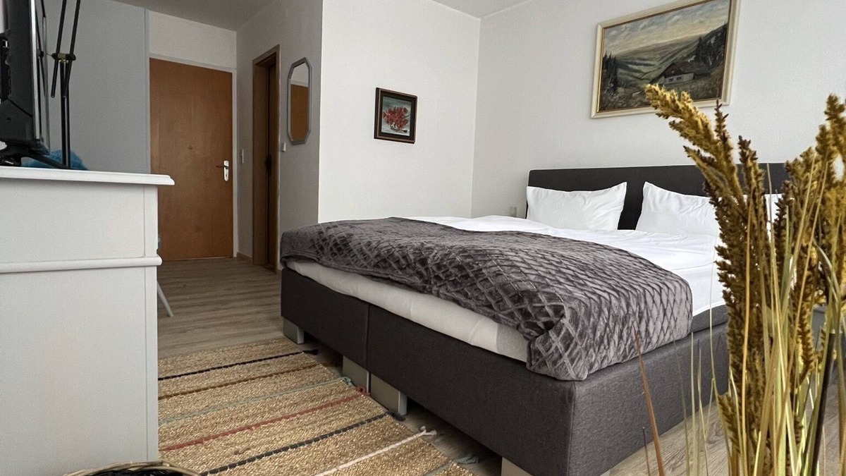 Steinsfeld Apartment | Schönes Doppelzimmer mit Balkon