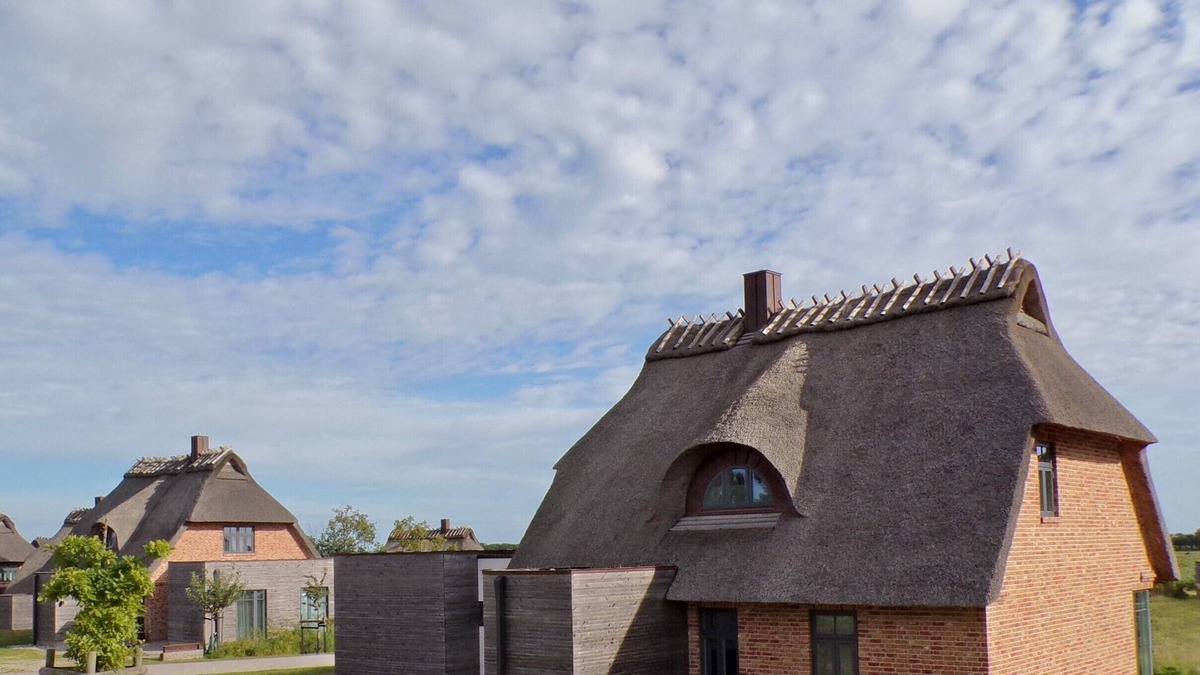 Nieby House | Schilfinsel das Atelierhaus Unter Reet für bis zu 8 Personen & Wildwiesenblick