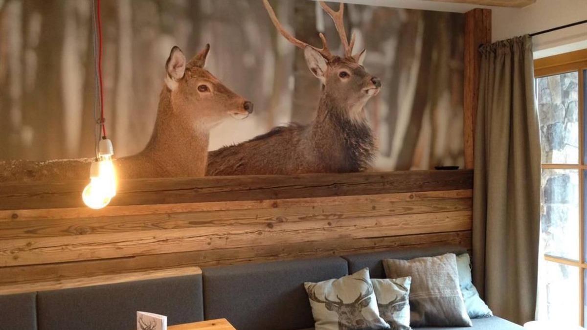 Muehlbach Am Hochkoenig Apartment | Schlossalm - MandlWand Lodge