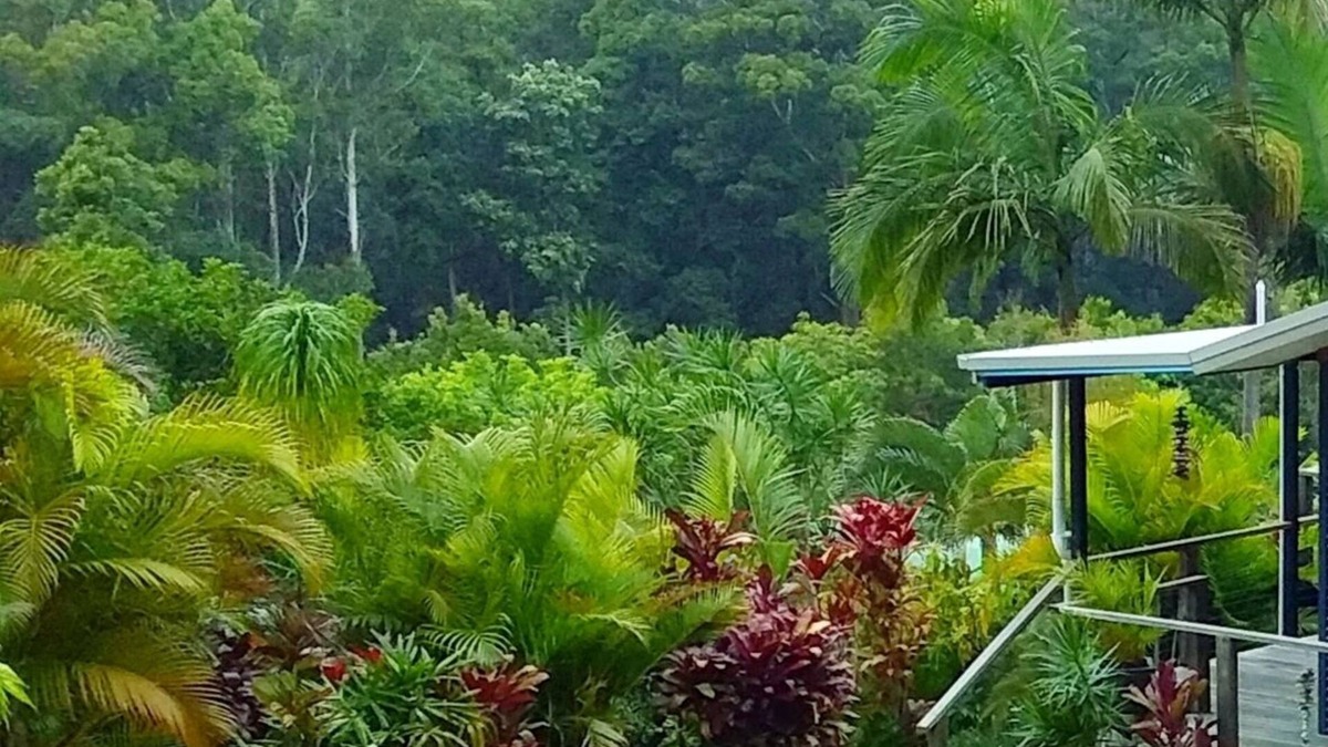 Way Way House | Scotts Head Retreat - Secluded Property