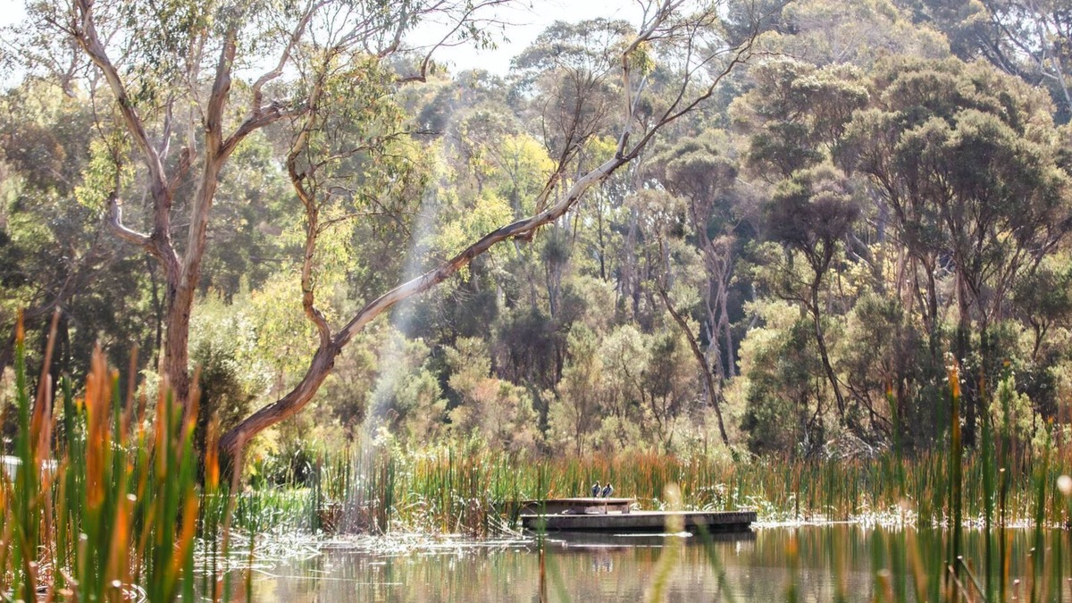 Red Hill House | Scribbleswood in the heart of Red Hill.